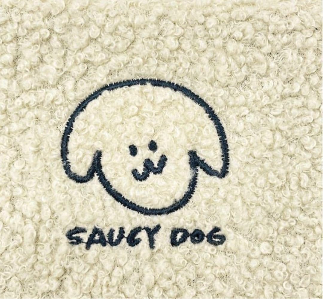 Amazon.co.jp: ! Saucy Dog HALL TOUR 2023 “in your life