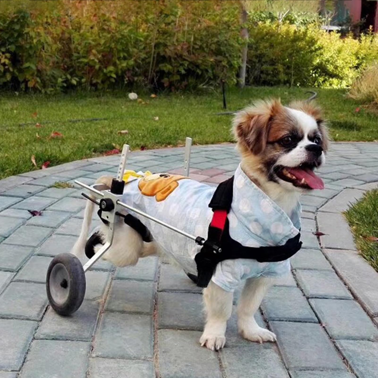 Chariot de mobilité pour chien pour faire marcher les chiots XXS