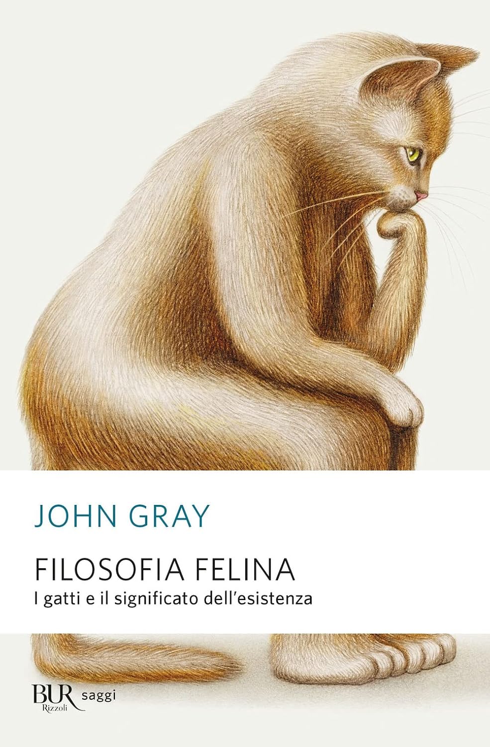 FILOSOFIA FELINA 9788817162807 John Gray, Carlo Capararo