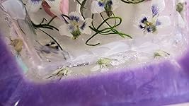 Review Image by Cody seibel