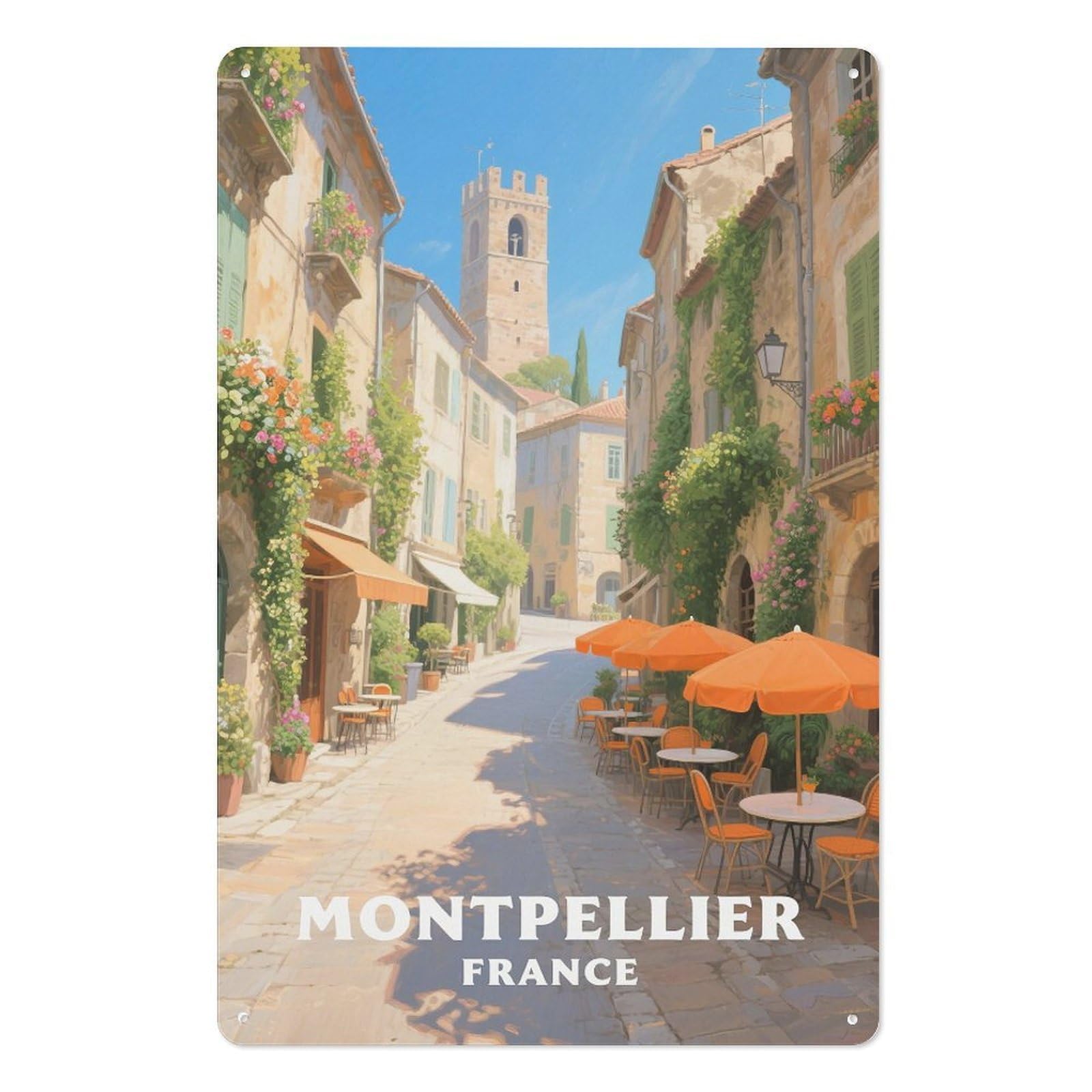 France Retro Design Tin Paintings Vintage Tin Sign 08x12inch(20x30cm) Wall Art for Home Office Bedroom Living Room Cafes Wall Decor