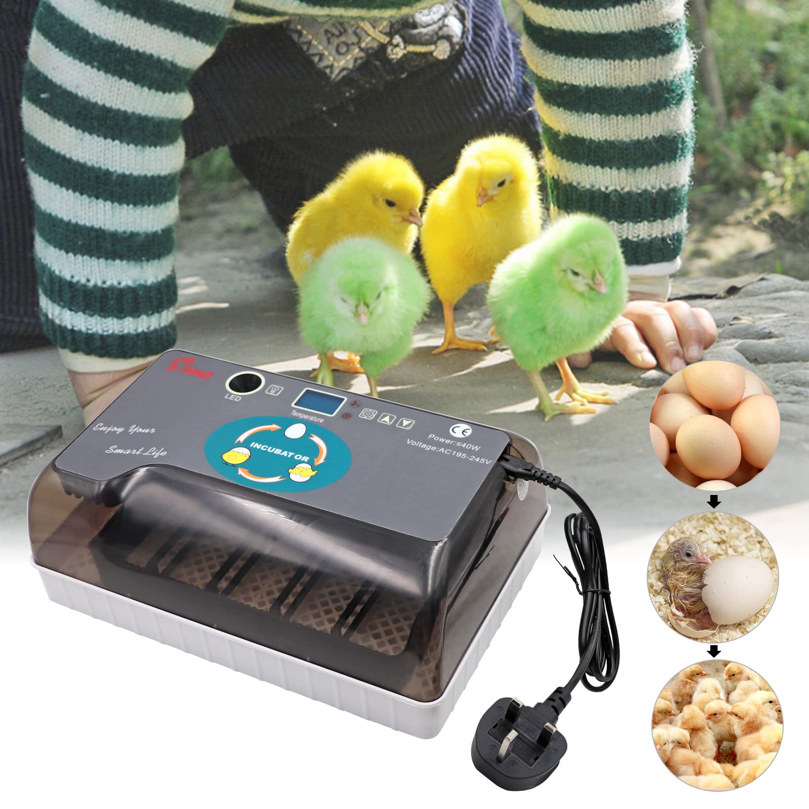 12-Eier-Inkubator, Bruteier-Inkubator, automatischer Umsatz- und Temperaturkontroll-Inkubator, Labor-Inkubator mit LED-Leuchten für Hühner, Enten, Gänse und Wachteln