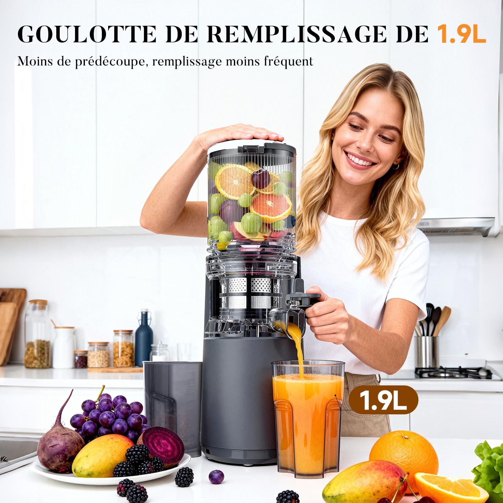 Extracteur de Jus Slow Juicer 130mm 1,9L 250W Marche Avant/Arrière Noir Mat