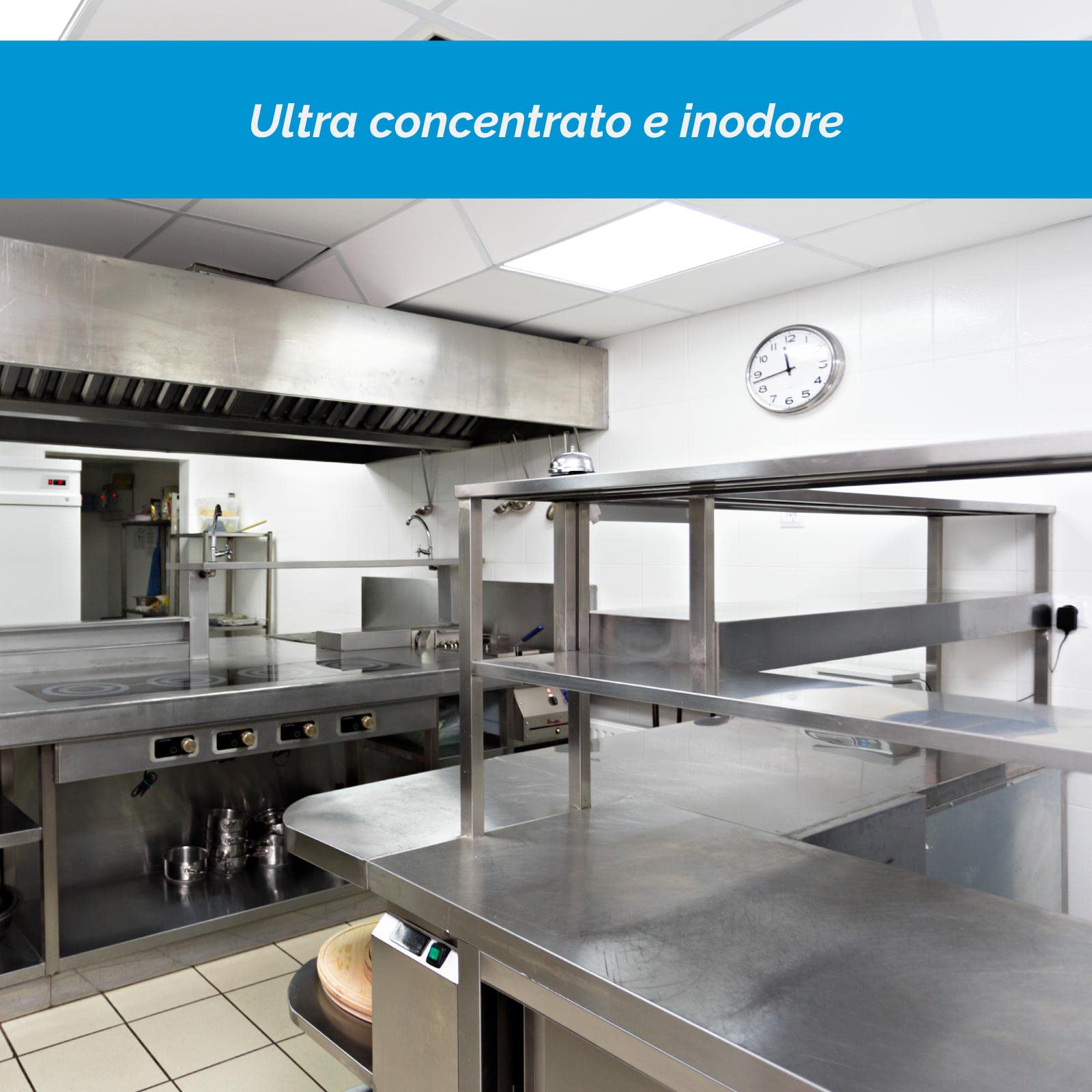 SGRASSATORE Settore HORECA SANI HORECA Ultra CONCENTRATO - Tanica da 30 L