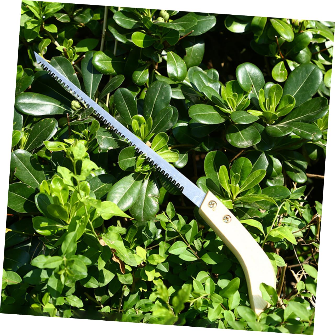 GALPADA 3 Set Da Potatura Per Giardino A Trazione Da Campeggio Portatile Portatile A Mano A Mano Per Alberi A Mano Per Artigiani Del 2 pezzi*3