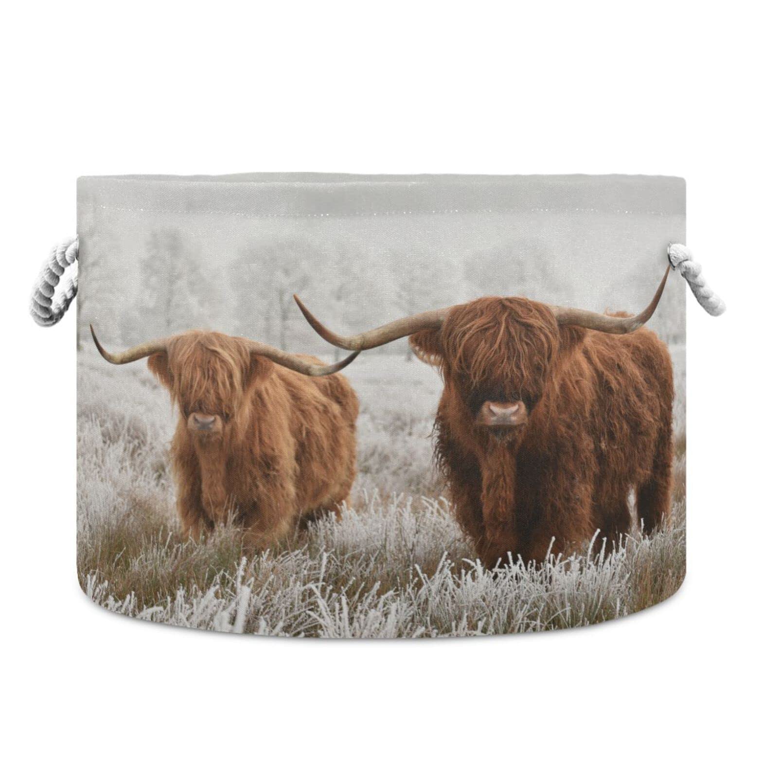 Scottish Highland Cow Western Cotton Rope Basket Large Capacity Pets Toys Storage Organizer Gift Baskets Clothes Laundry Hamper Holiday Ornament Storage Bin