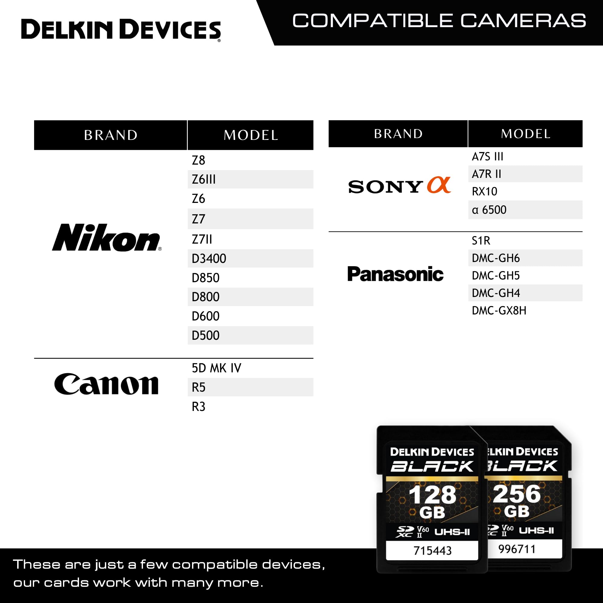 Delkin Devices Scheda di memoria SDXC resistente nera, UHS-II, C10, U3, V60, video Full HD e 8K, velocità fino a 290 MB/s in lettura, 190 MB/s in scrittura, ideale per fotografi e videografi (128 GB)