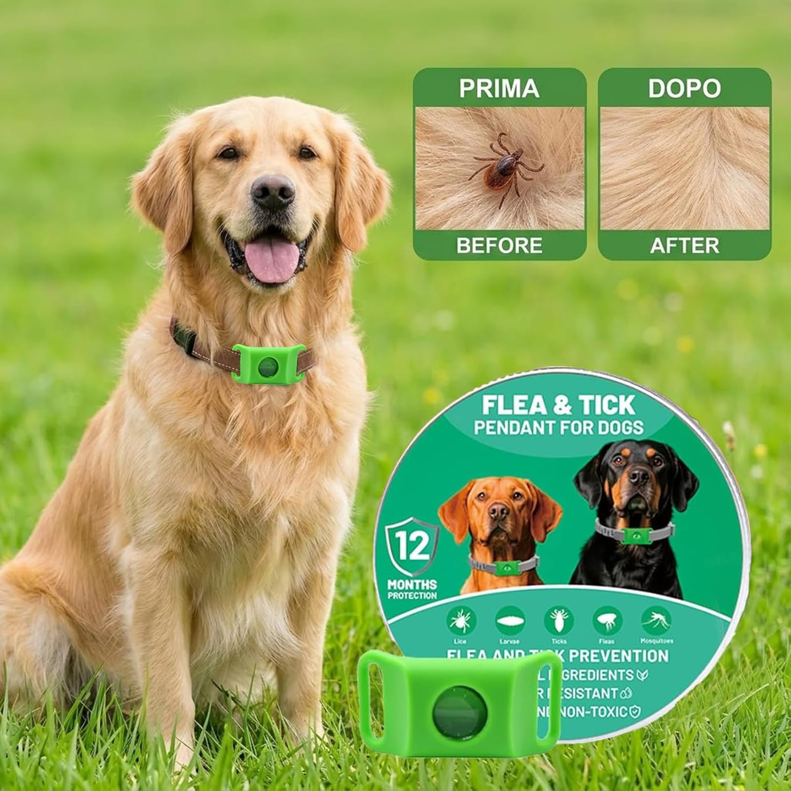ZVD Collare Antiparassitario Naturale,Collari Antiparassitari per Cani,Ciondolo Repellente per Pulci e Zecche per Cani,Ingredienti 100% Naturali,Protegge da Pulci e Zecche (Grigio)