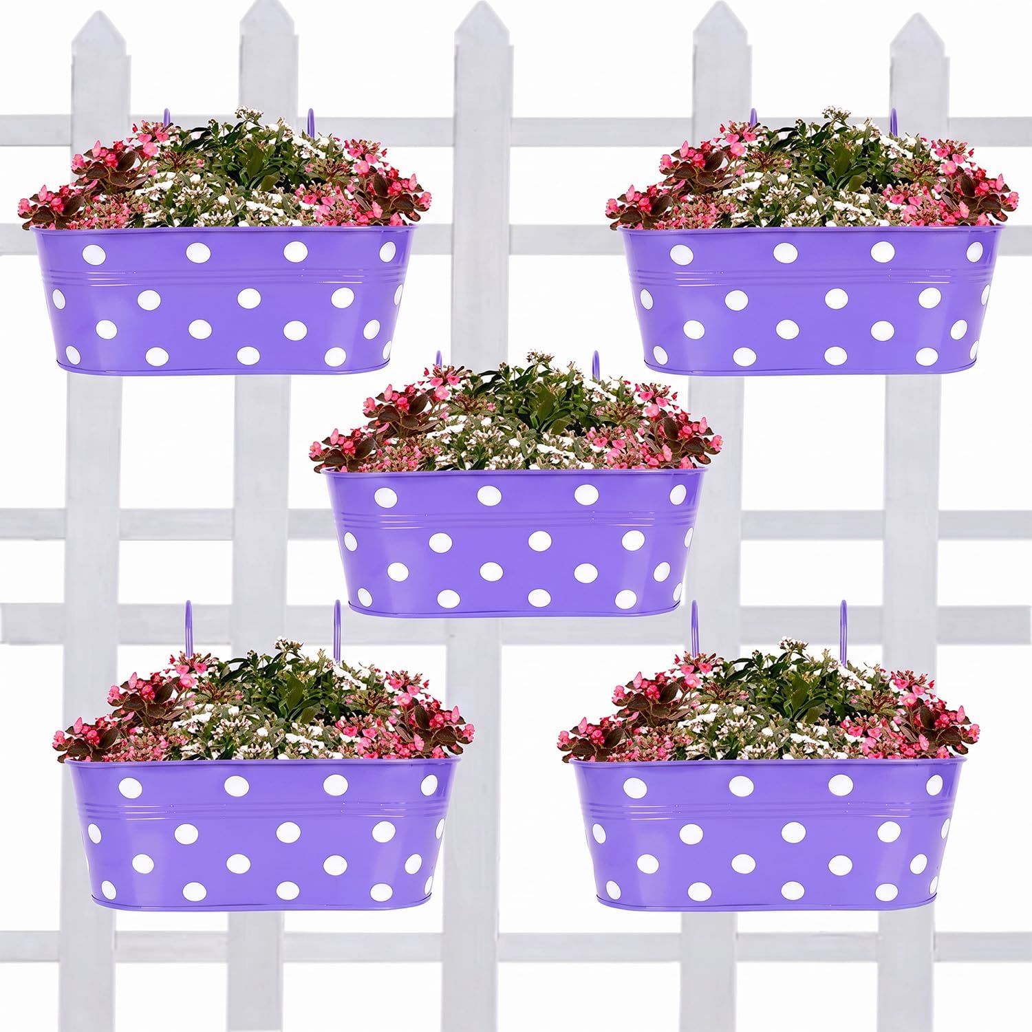TrustBasket Dotted Plant Containers - Set of 2 -7 TrustBasket Dotted Plant Containers - Set of 2 -7