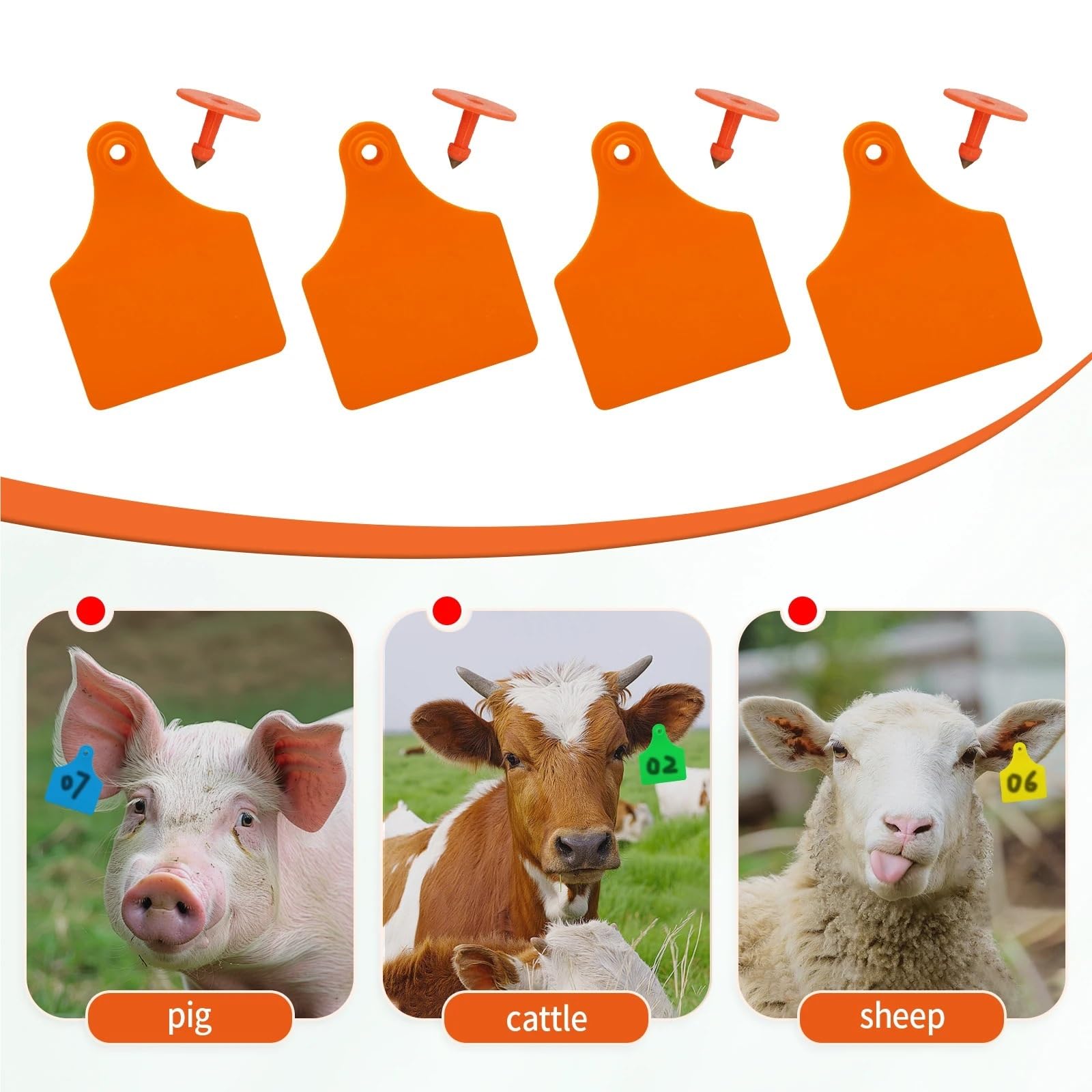 Lot de 100 étiquettes d'oreilles en TPU épais sans mots tapant des mots - Tête en cuivre - Carte d'identification pour bovins, vaches, cochons (vert)