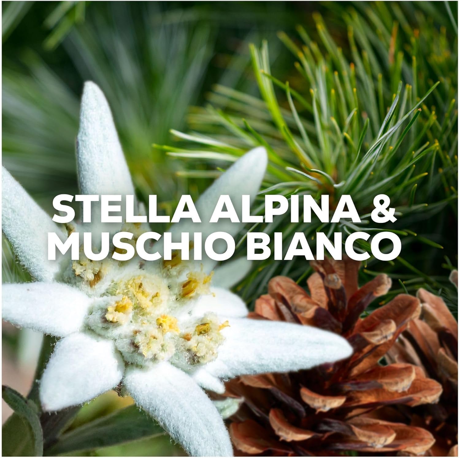 Detersivo Liquido Lavatrice 4x60 Lavaggi – Champions Edition – Fragranza Stella Alpina e Muschio Bianco – Pulizia Profonda, Freschezza Intensa e Colori Brillanti anche a Basse Temperature