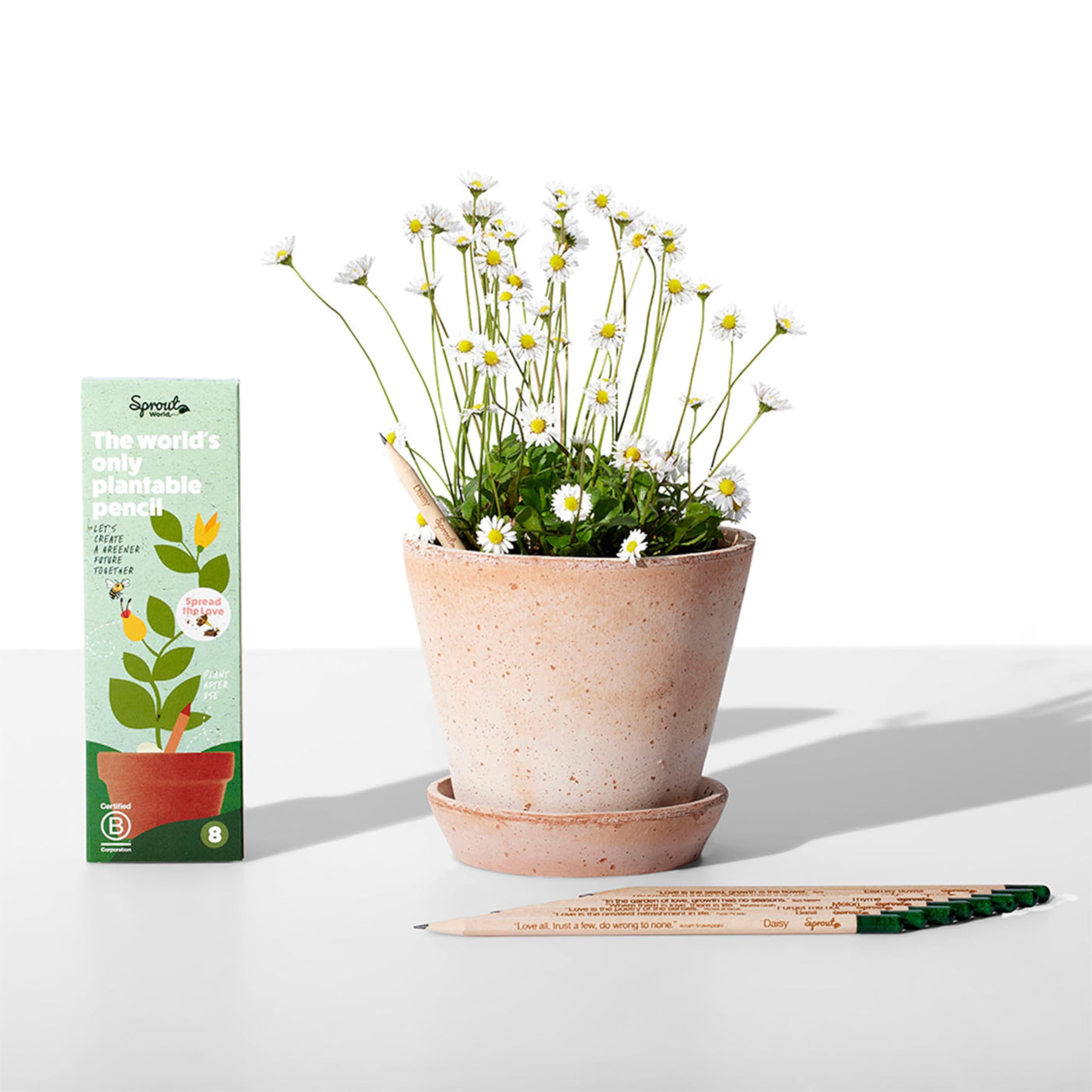 Sprout World Pencils | Spread the Love Edition | Graphite Bleistifte mit Blumen-, Kräuter- und Gemüsesamen | Eco-Friendly Organic Holz| Nachhaltiges Geschenk mit herzerwärmenden Zitaten | 8er Pack