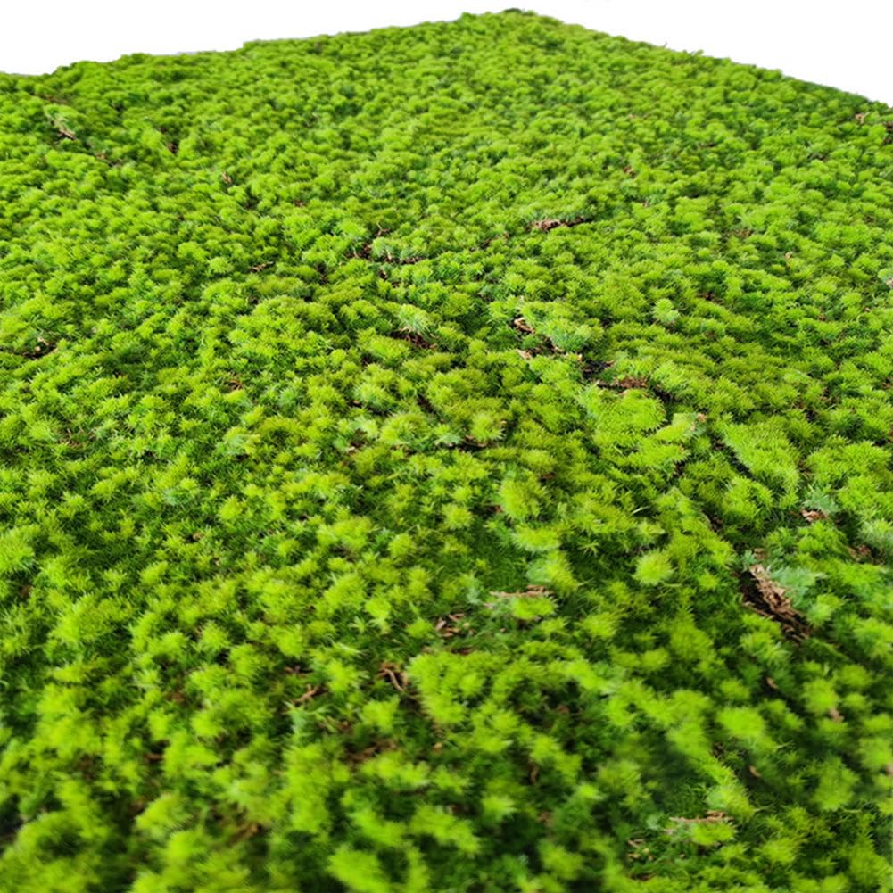 Césped Artificial, Musgo, decoración de paisajes, Musgo Falso Realista para jardín, césped, decoración de bonsáis, Jardines, terrarios, arreglos Florales, Manualidades de Bricolaje,R
