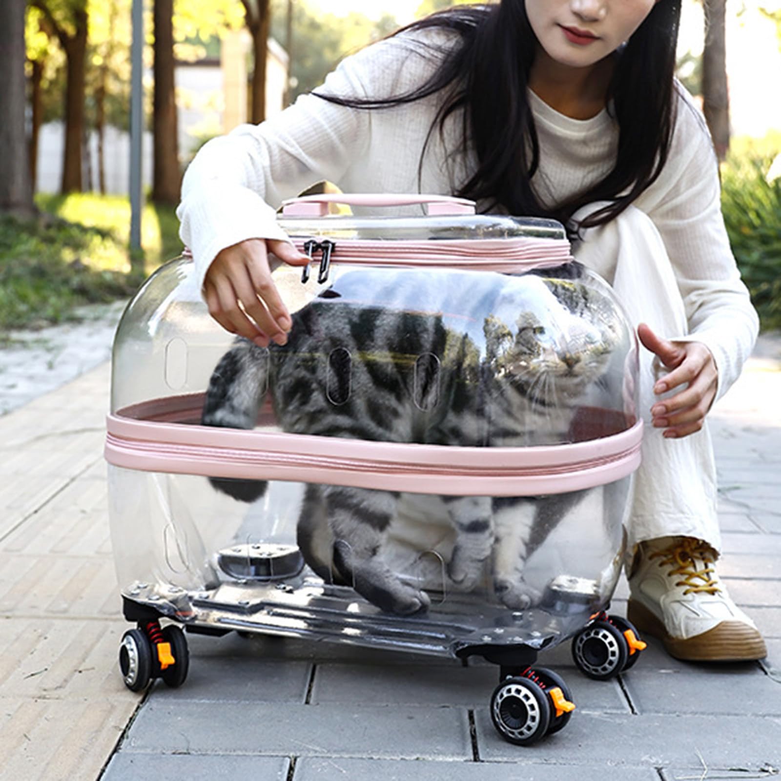 Mochila transparente para transportar mascotas, diseño totalmente transpirable para viajes seguros y cómodos, senderismo y viajes al aire libre