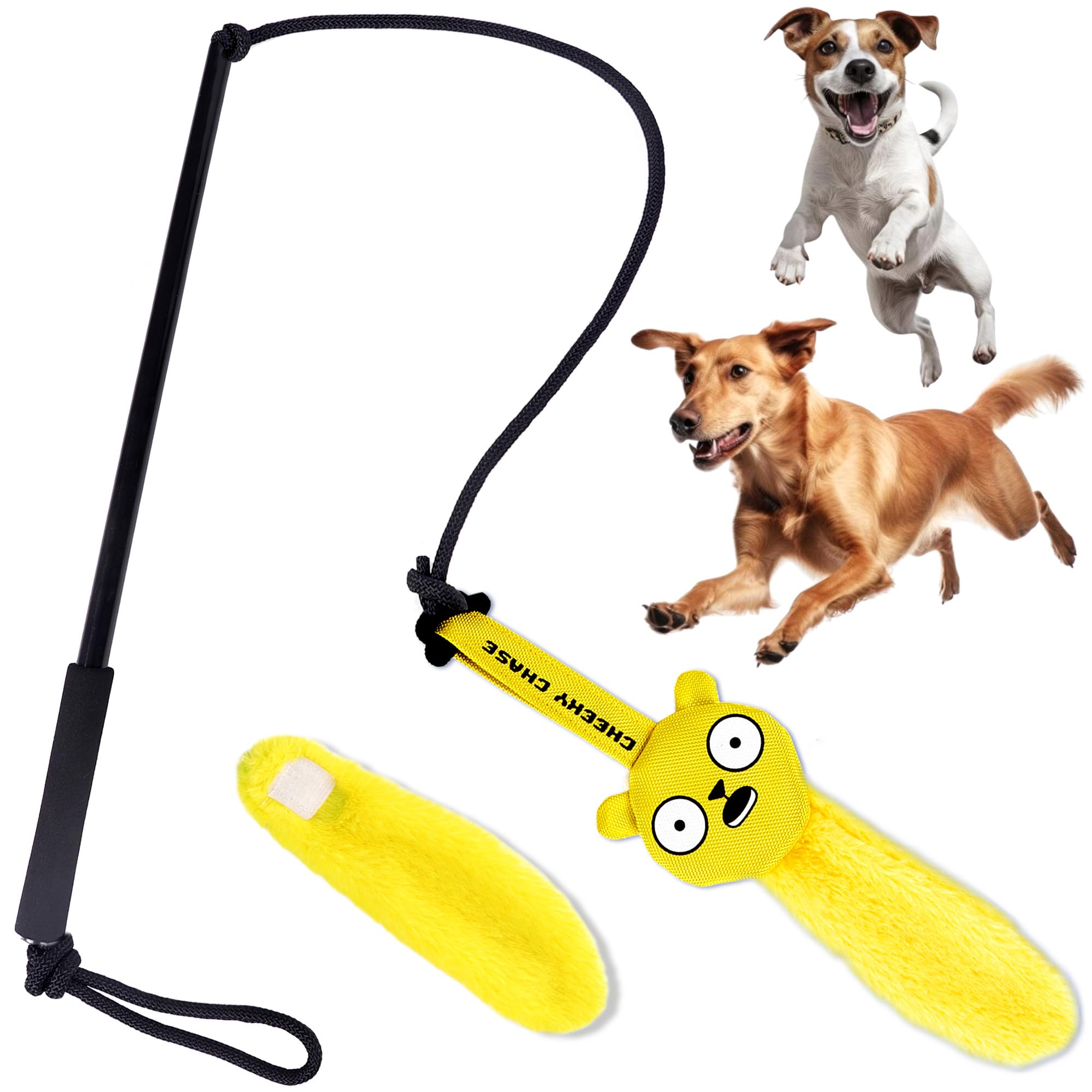 Race&Herd Flirt Pole for Dogs Interactive Dog Toys for Large Medium Small Dogs Chase and Tug of War, Dog Teaser Wand with Lure Squirrel Dog Toys for Outdoor Exercise & Training