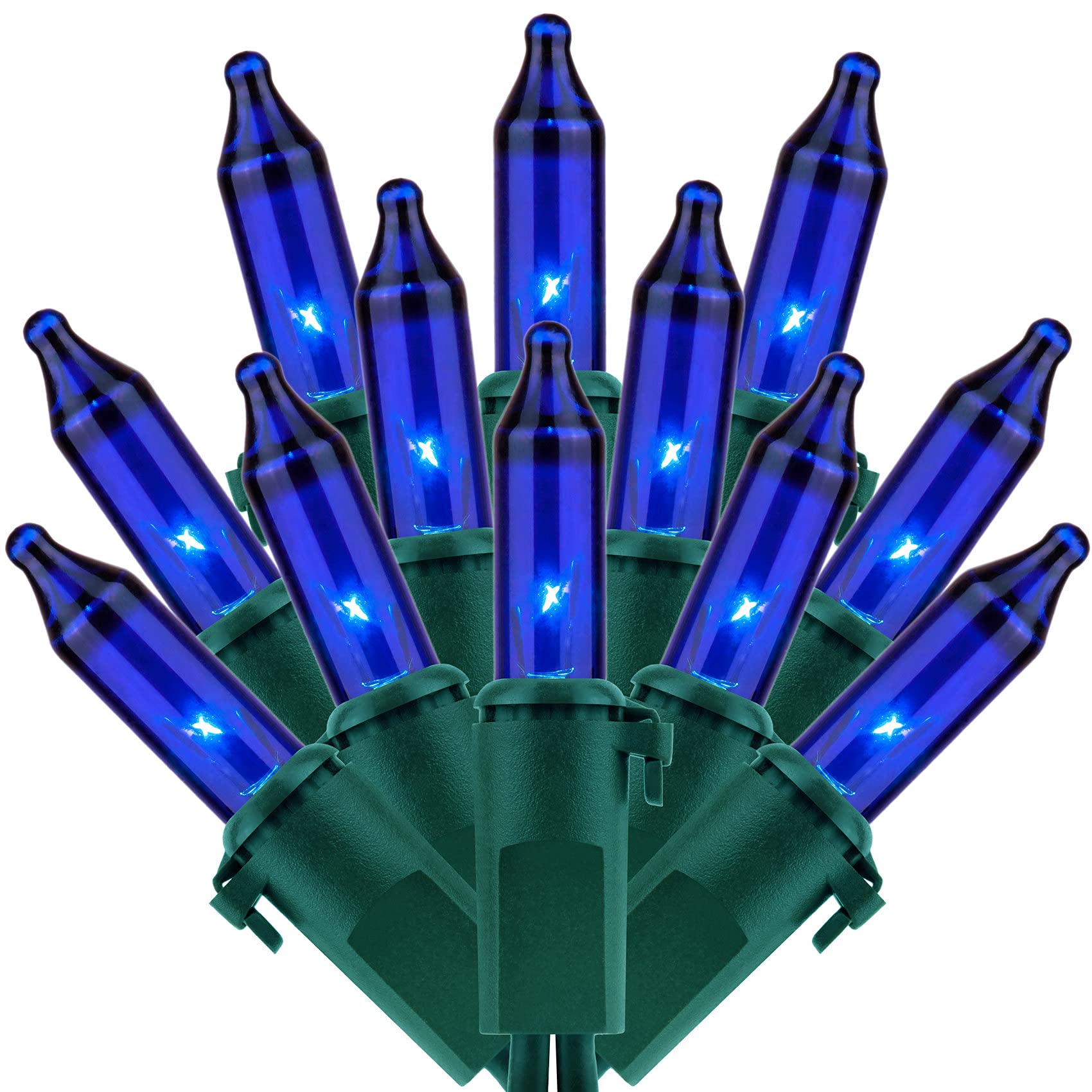 Blue Christmas Lights, 200 Lights 66 ft Green Wire, Pack of 2 Strands 100 Count UL Listed Holiday String Light (Blue - Green Wire)