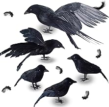 5 Pack Halloween Crows Decorations, Assorted Size Black Feather Halloween Crows and Ravens Decor, Realistic Handmade Scary Crows Props Outdoors Indoors Decorations