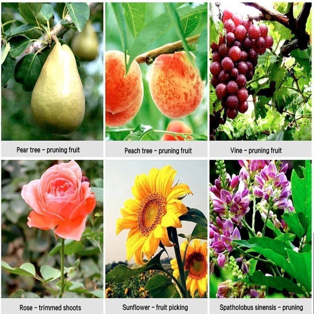 Gartenschere für die Gartenarbeit, schwere Gartenschere, Gartenschere – professionelle, fortschrittliche Gartenschere, Starke Federn, Schere für Jede Familie