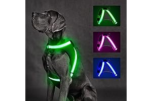 Light Up Dog Harness: Illuminate Nightly Walks for Medium Canines