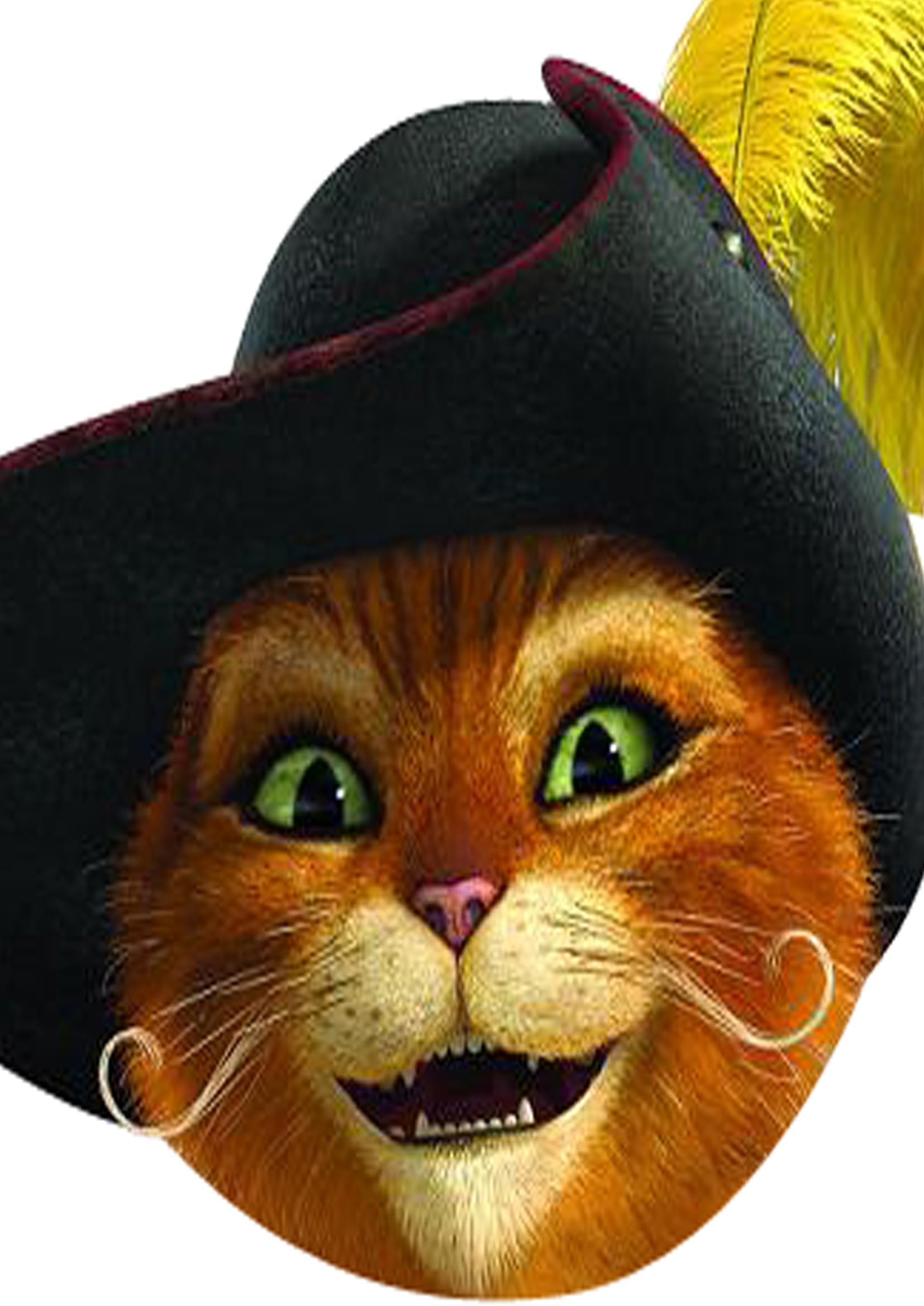 FoxyPrinting Puss In Boots Celebrity Cardboard Party Face Mask Fancy Dress