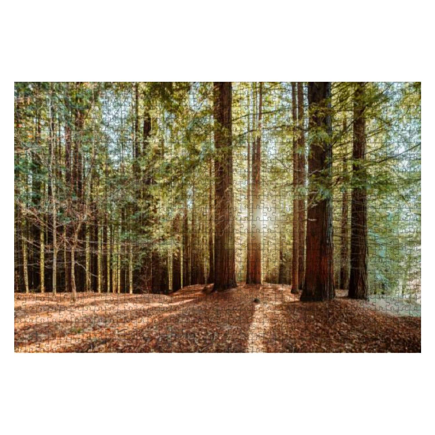 Puzzles 1000 Piece Redwood Forest - Fun Interactive Brain Teaser Jigsaw Puzzles