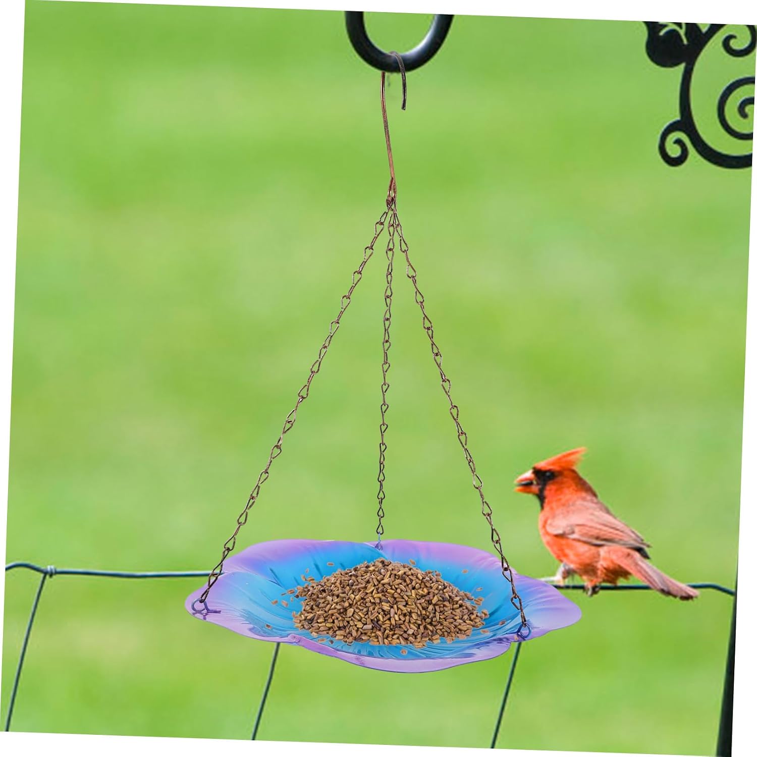 Outdoor Hanging Bird Feeder Tray Iron Metal Bird Feeding Box for Garden Patio Balcony Wear-Resistant Blue-Purple Floral Design