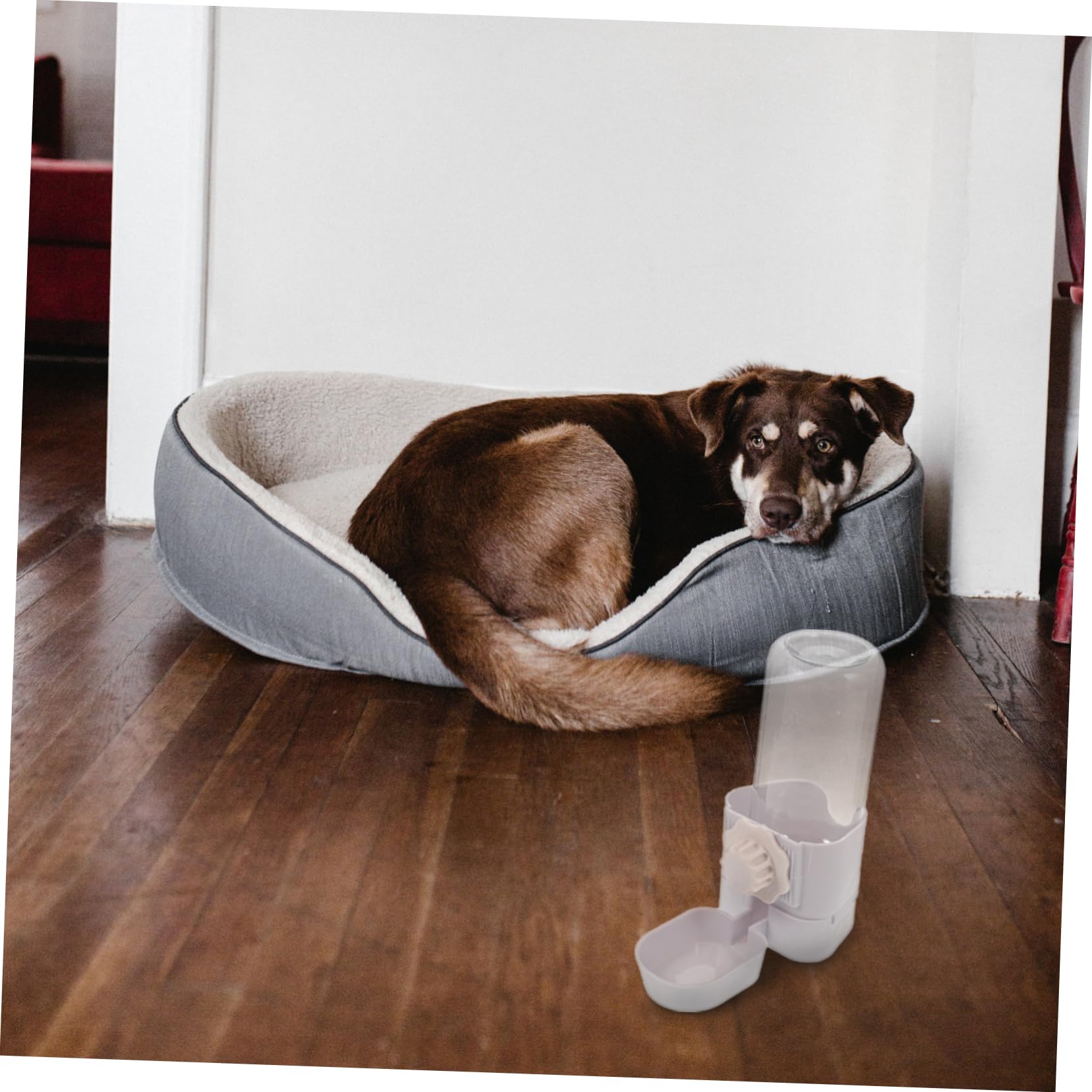 minkissy 3pezzi Dispenser per Animali Domestici Bottiglia Appesa per Cuccioli e Gatti Bevitore Automatico per Cani Facile da Pulire e Installare Materiale Durevole e Resistente