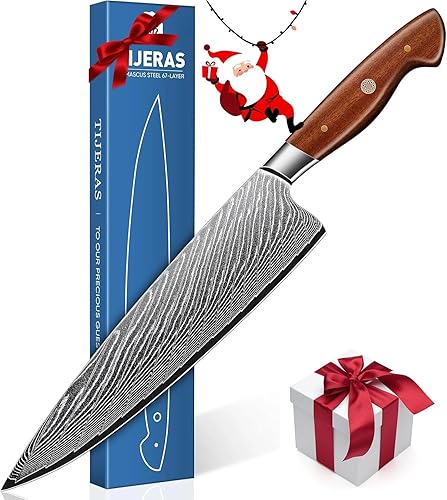 TIJERAS Cuchillo de chef de Damasco, cuchillos de cocina japoneses de 9 pulgadas con acero de Damasco de 67 capas, cuchillos de cocina profesionales