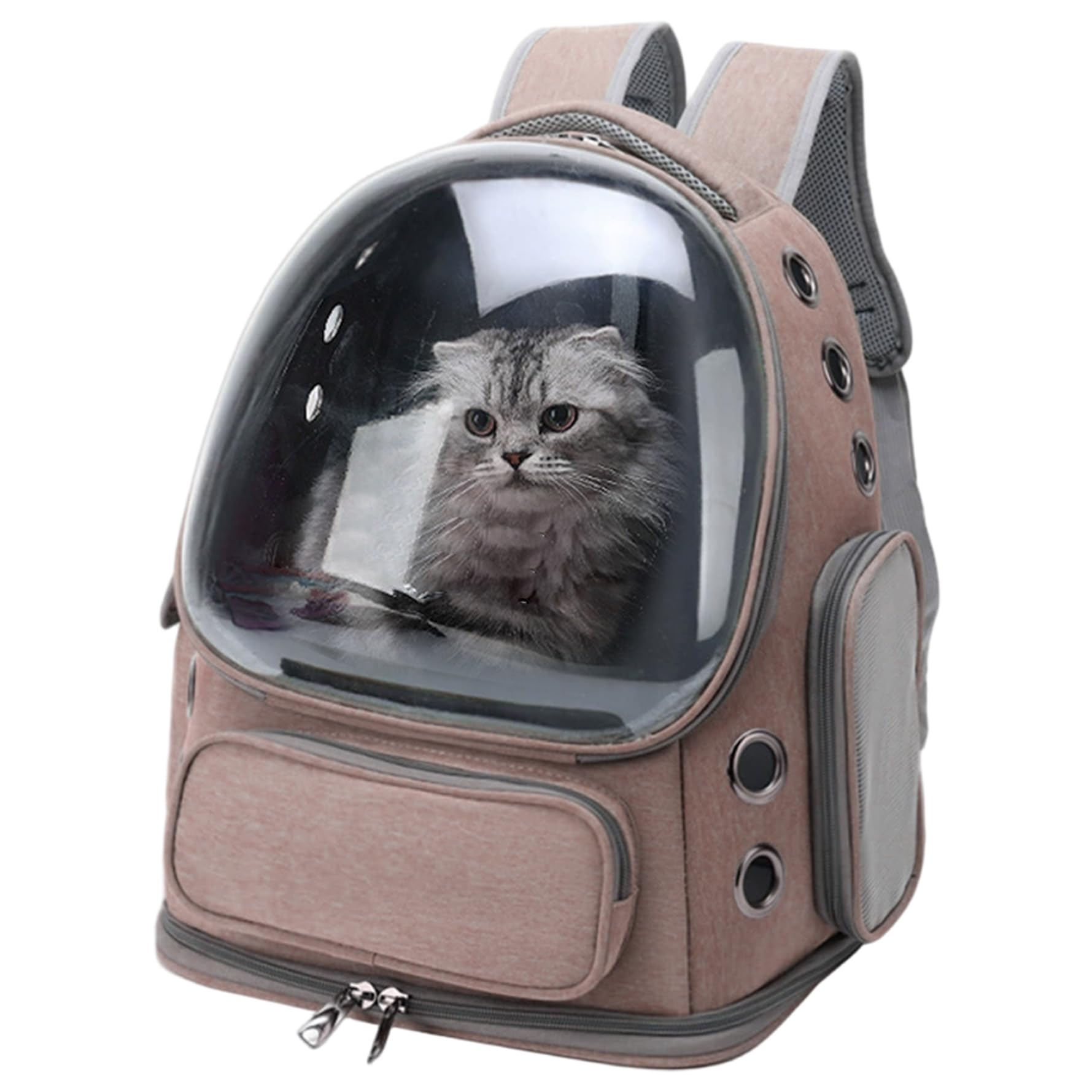 Sac à dos pour chat 3D Jorzer grand format respirant