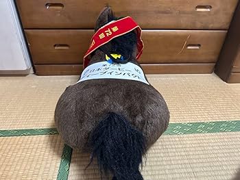 Amazon.co.jp: ディープインパクト 2L（第72回 日本ダービー