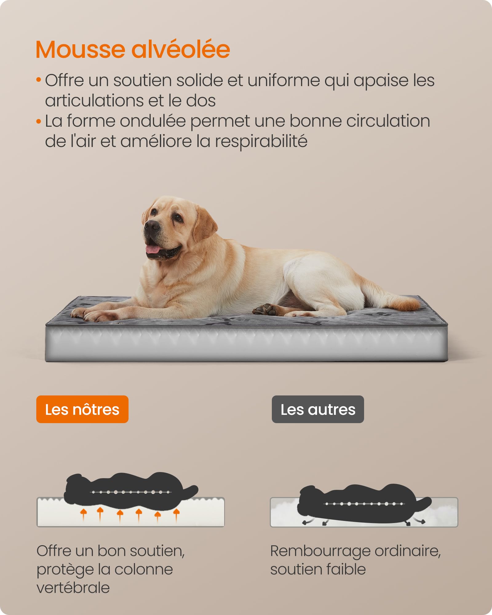 Feandrea Panier pour Chiens, Coussin pour Animaux, Mousse Alvéolée, avec Poignée, Déhoussable, Utilisable des 2 Côtés, Hydrofuge, Taille XXL, 120 x 74 x 8 cm, Gris Tourterelle PGW244G01
