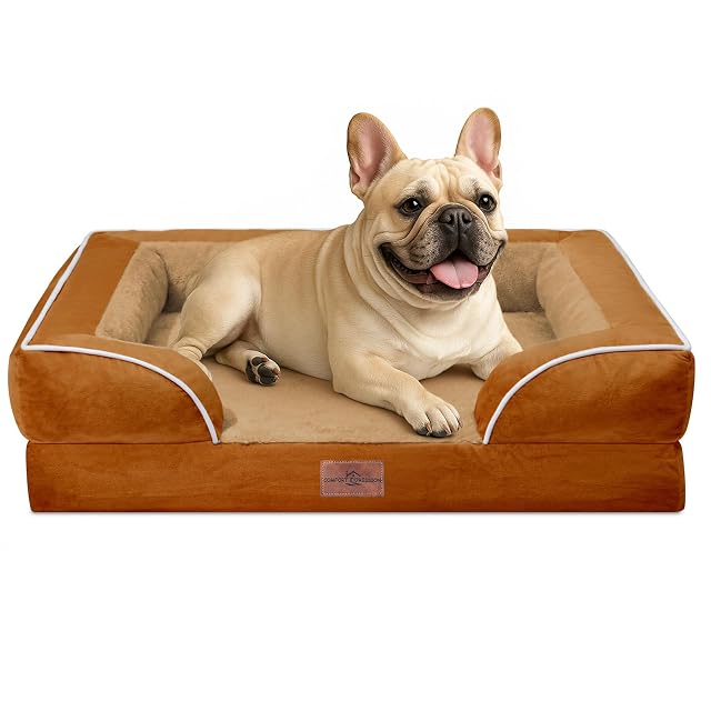 Comfort Expression Camas para perros medianos, impermeables, ortopédicas, de espuma