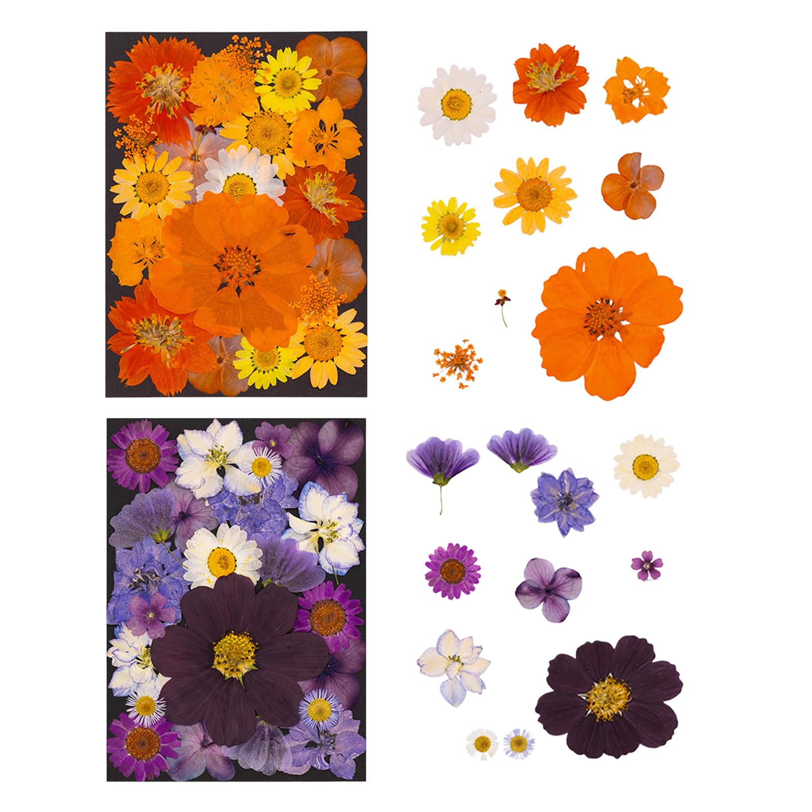 Fiori secchi Naturali per segnalibri, creazione Candele per Gioielli, Foglie pressate Naturali per lavori artistici Fatti a Mano per Arte in Resina