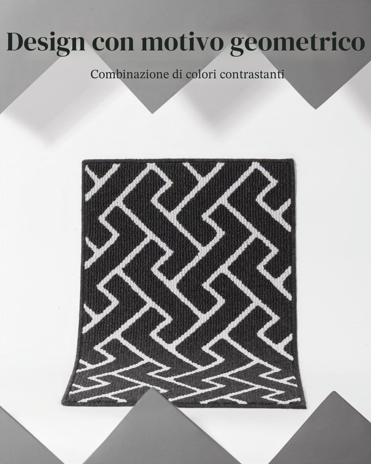 Biscpro Zerbino Ingresso Interno,80x120cm Zerbino Tappeto Ingresso Casa per porta interna o zerbino Esterno, Patio,Veranda,Soglia o portico,Ufficio