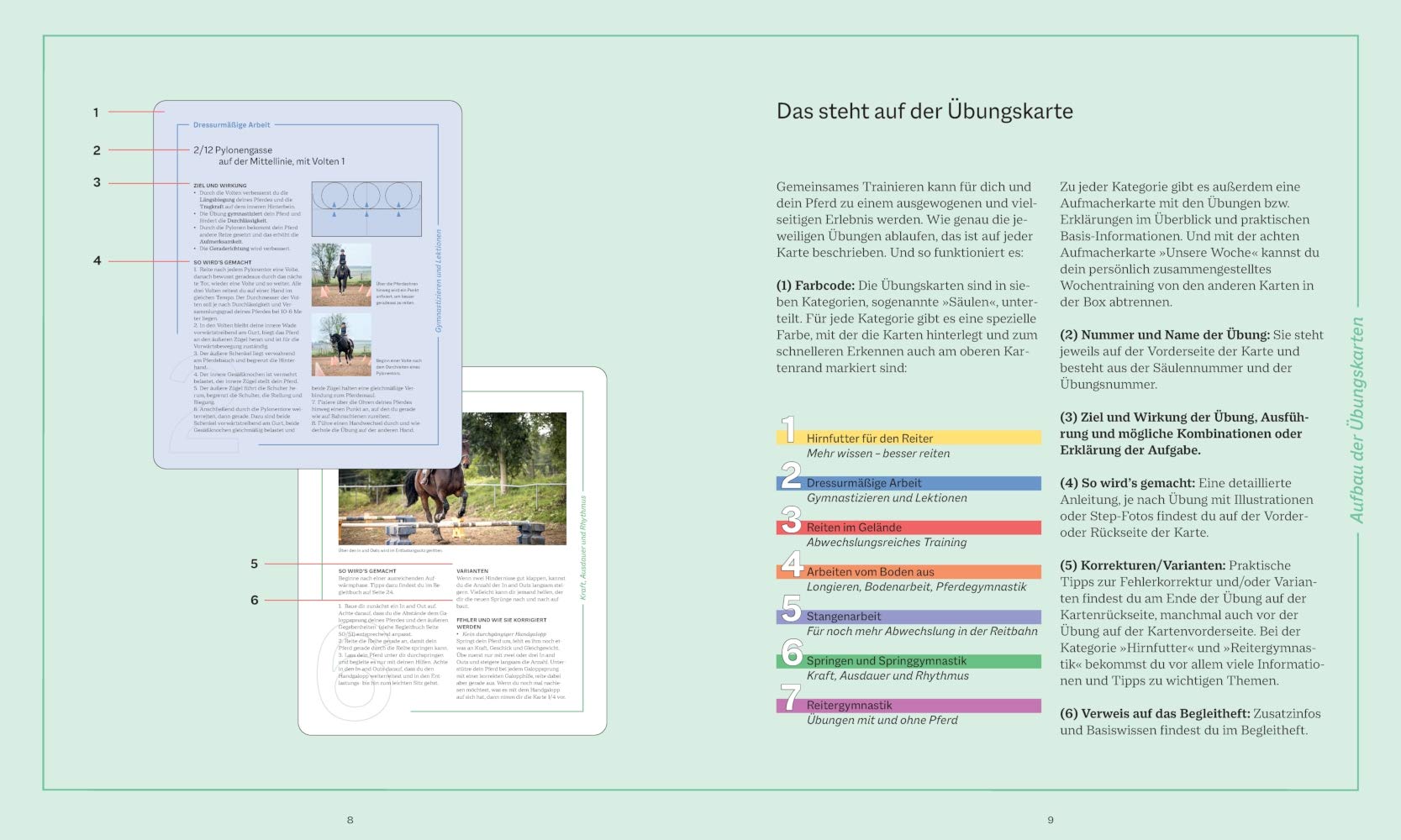 Die Reittrainings-Box: Ganzheitliche Übungsprogramme für Pferd und Reiter einfach selbst zusammenstellen - Genial flexibel für Anfänger und Fortgeschrittene aller Reitstile (BLV Pferde & Reiten)