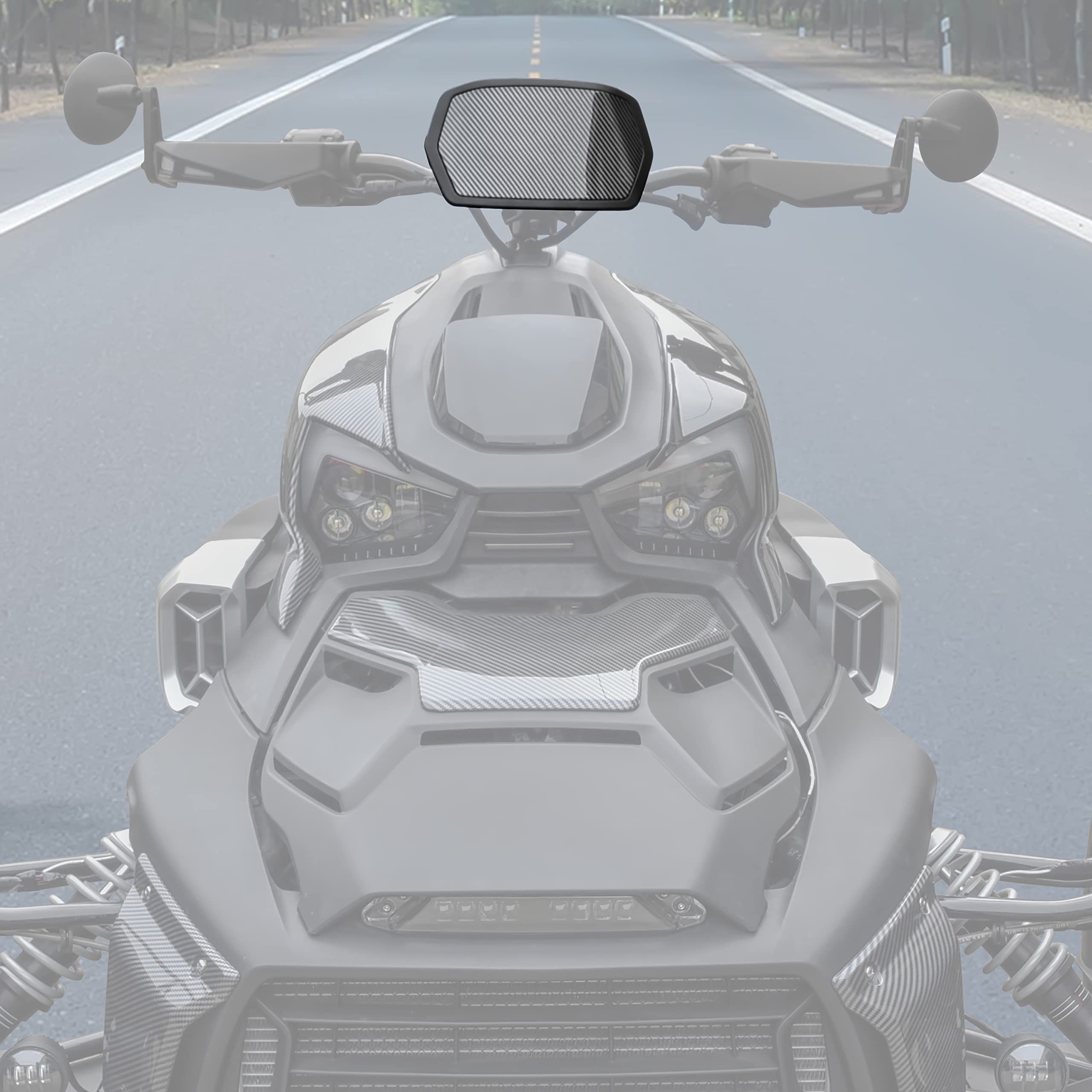 SAUTVS Aileron de jauge en Plastique et Fibre de Carbone pour Tous Les modèles Can-Am Ryker (1 pièce, pièce de Rechange #219400818)