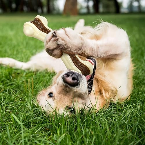 Vista 39 de Sosation Juguetes para perros con forma de huesos para masticadores agresivos, paquete de 2 juguetes para masticar para cachorros, de nailon, sabor