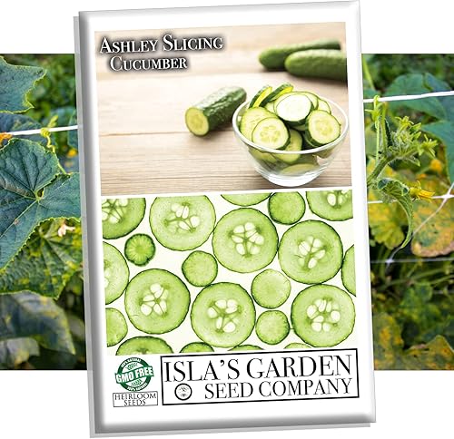 Ashley - Semillas de pepino para siembra, más de 50 semillas de reliquia por paquete, semillas de jardín de Isla (semillas de jardín de Isla),
