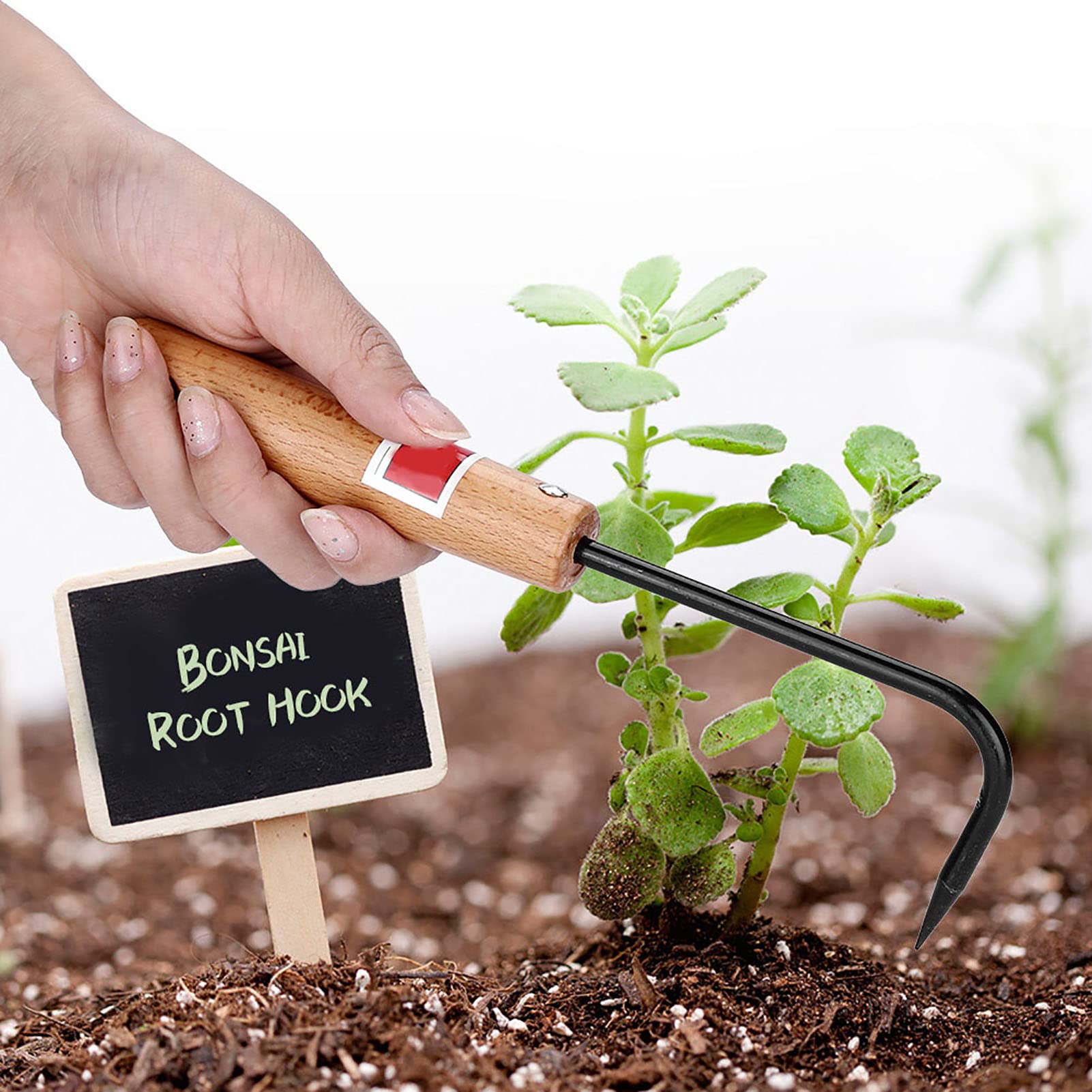 Ausla Bonsai Wurzelkralle Bonsai -Haken, Eisen- und Buchenwurzelhaken,  Starkes Gartenwerkzeug Zum Lockern des Bodens und Zur Entfaltung von  Wurzeln, Maximieren Sie Kraft und Komfort Im Garten : Amazon.de: Garten