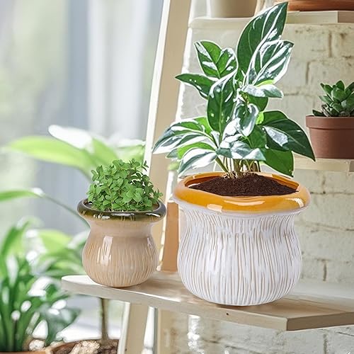 Miniatura 2 de Chonsun Macetas de cerámica para jardín, 2 unidades, color azul y rosa