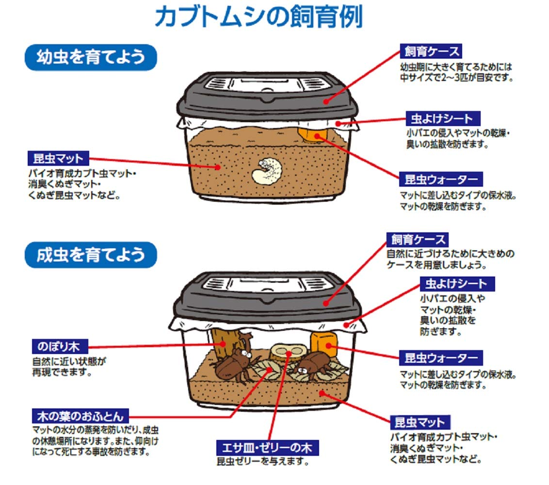 Amazon | インセクトランド プラケースワイドビューBL(中) 7.5L