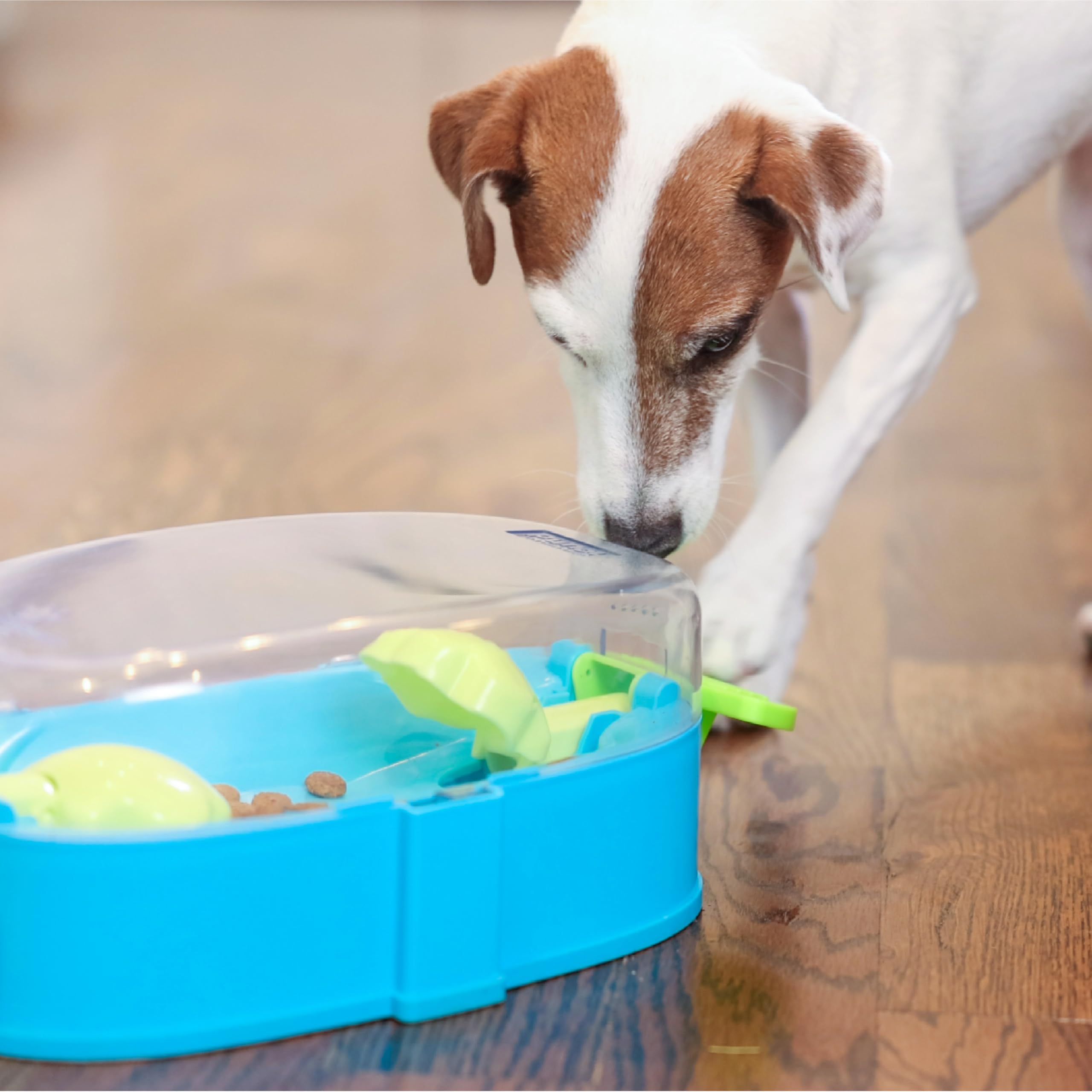Outward Hound Nina Ottosson Paw N' Play interaktywna łamigłówka dla psa, poziom 2 średniozaawansowany pies wzbogacający zabawka dla psa, niebieska, mała