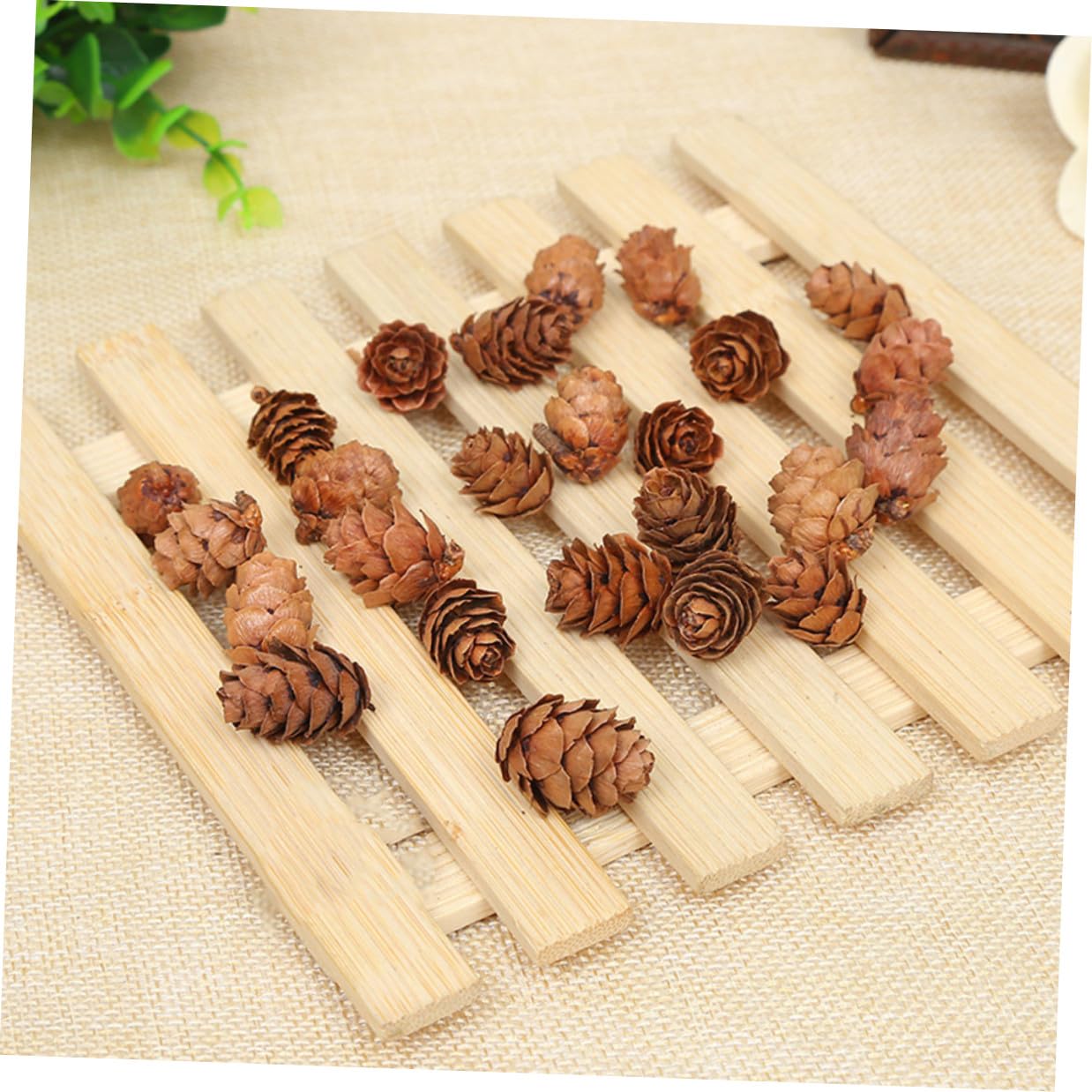 210 Unidades Mini Piñas de Pino Naturales Decoración Rústica para Hogar Navidad Acción de Gracias Manualidades Ornamento Vegetal