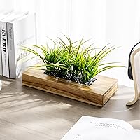 Vista 3 de MyGift - Grandes plantas artificiales de césped verde en maceta de 14 pulgadas en caja de madera maciza de acacia premium rectangular, centro