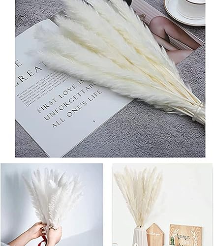 Miniatura 3 de 30 flores secas de junco, ramo de flores secas de hierba de las pampas, ramo de flores secas de ramas artificiales de pluma, 17 pulgadas, decoración