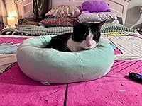 Review Image by Kristen Kristen