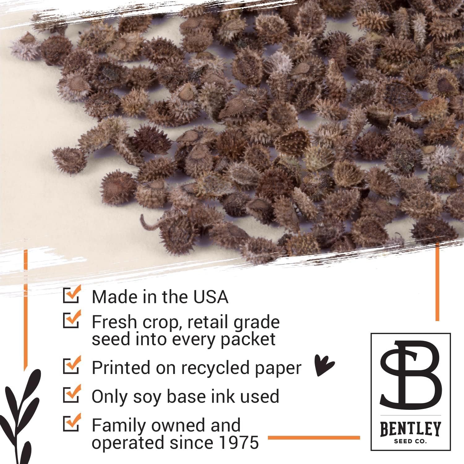Bentley Seed Co. Thank You Packet - Help Us Grow Forget Me Not - 25 Seed Packets - Perfect Eco-Friendly Thank You Gift - Non GMO Seeds, Blue