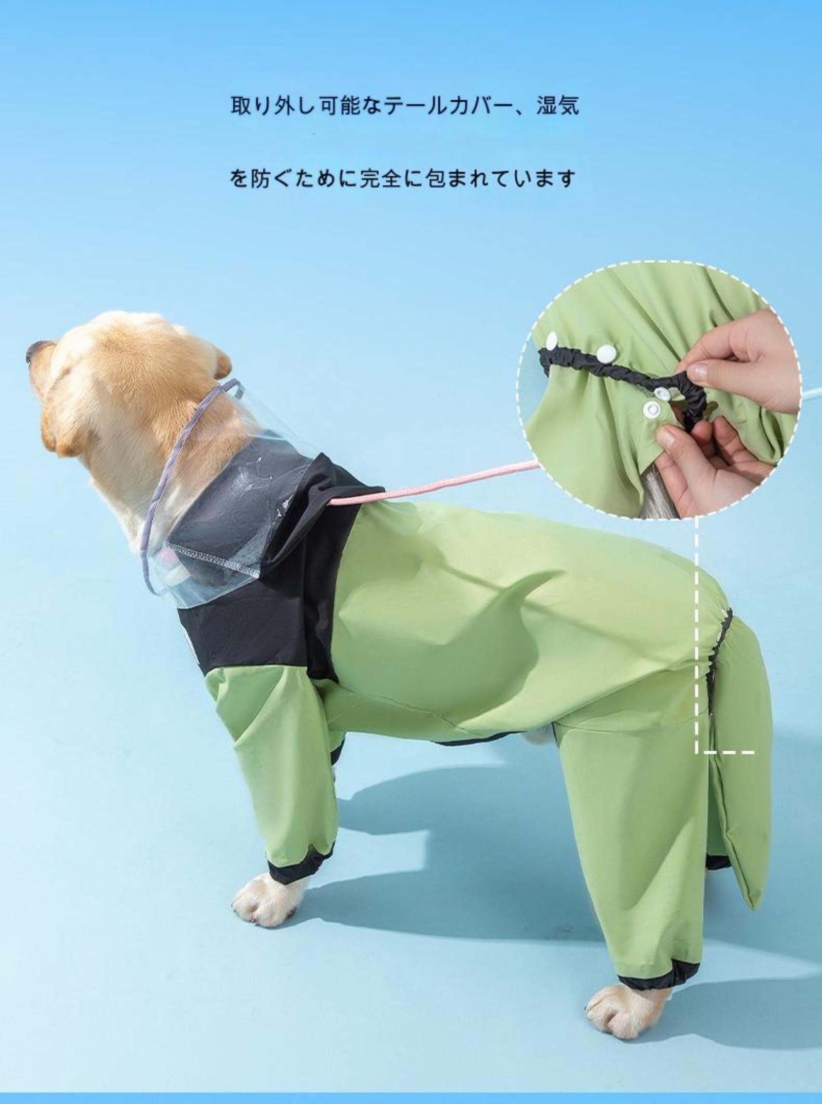 Amazon.co.jp: 犬 ゴールデンレトリバー大型犬用レインコート、中型犬