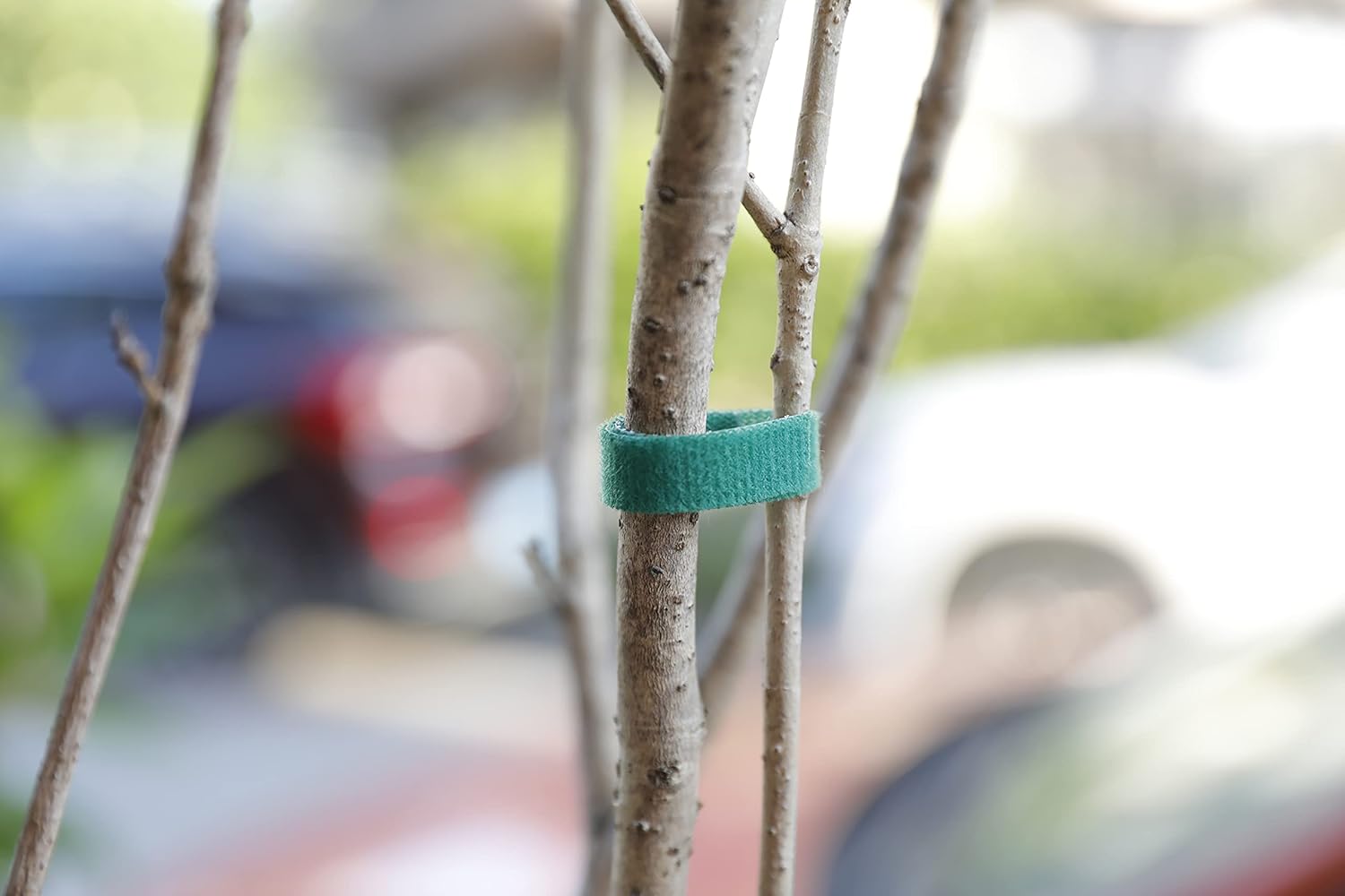 Auuyiil Plant Ties Garden Tape Reusable Nylon Plant Tie Strap,Tomato Plant Support,Tree Ties and Plant Supports for Effective Growing (50 Foot x 0.47 Inch, Green) : Patio, Lawn & Garden