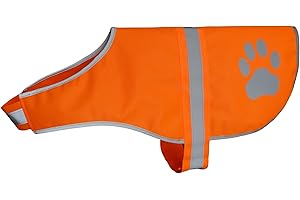 High-Visibility Dog Hunting Vest: Essential Safety Gear for Canine Adventures